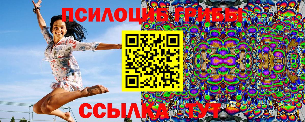 Галлюциногенные грибы Psilocybe Сухой Лог