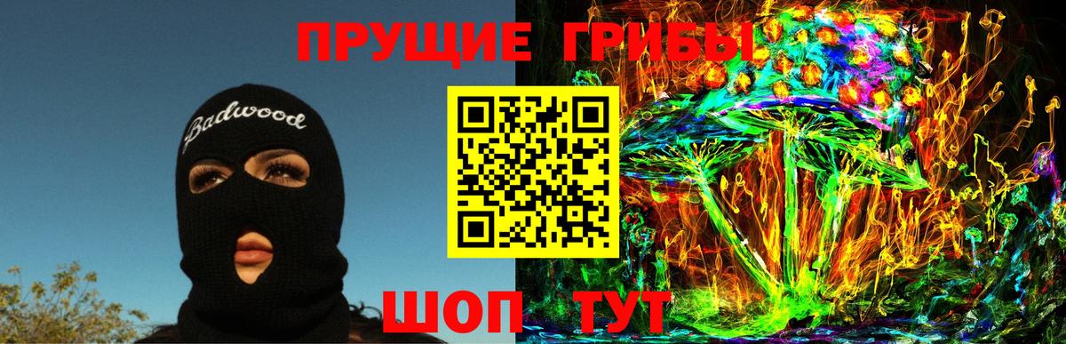 что такое   Вход с VPN  Сухой Лог  Галлюциногенные грибы ЛСД 